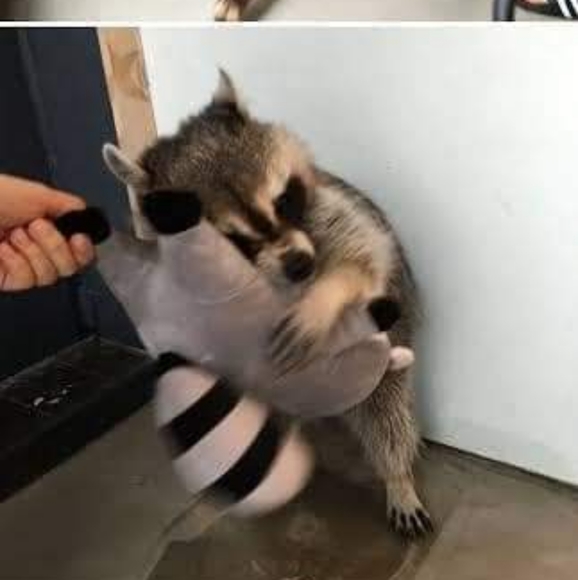 Meet your Posher, Andrés - Picture 2 of 2